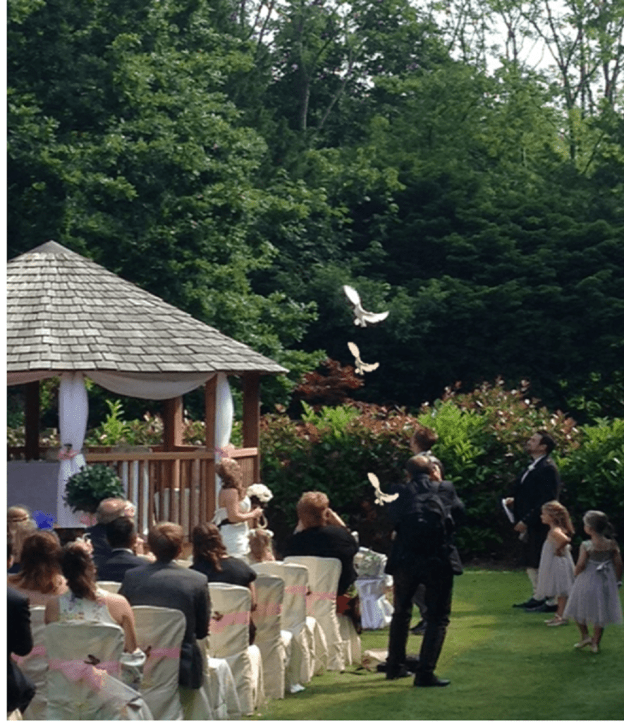 Sussex dove release