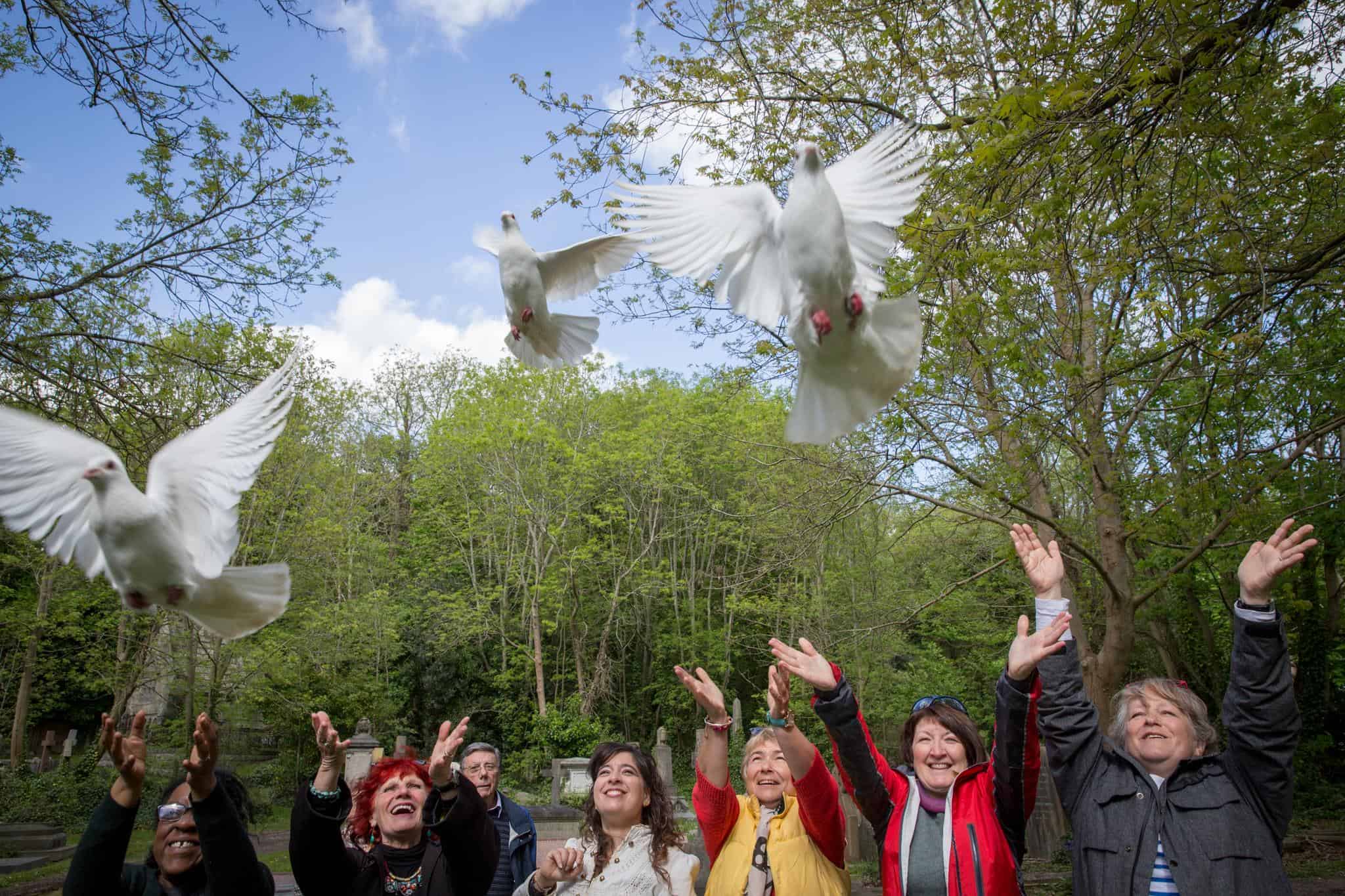 Sussex dove release