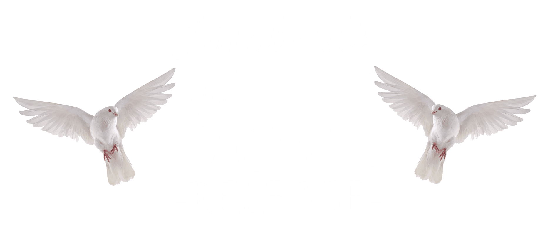 Funerals Sussex Dove Release