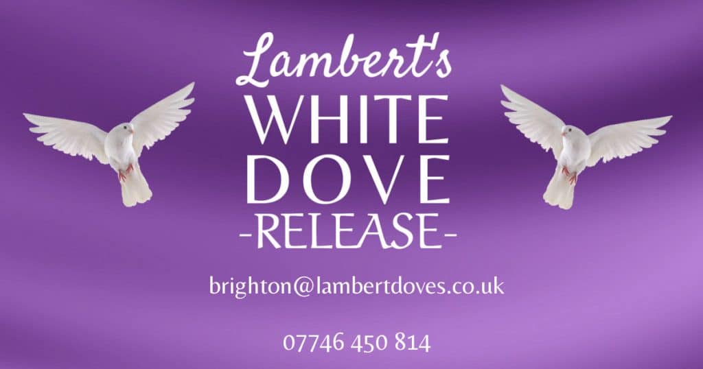 Sussex dove release Funeral and Wedding Dove Releases